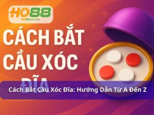 Cách bắt cầu xóc đĩa: Hướng dẫn từ A đến Z cho người mới